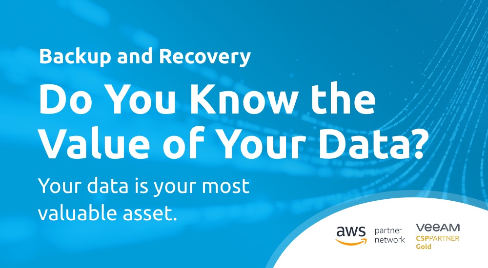 Do You Know the Value of Your Data?