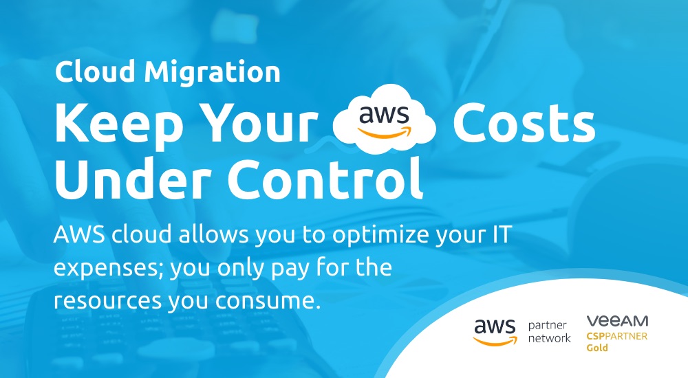 How to Control Your IT Costs in the AWS Cloud?
