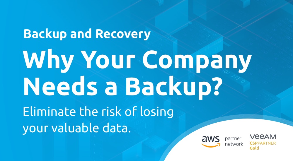 Why Your Company Needs a Backup?